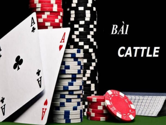 catte-tai-go88