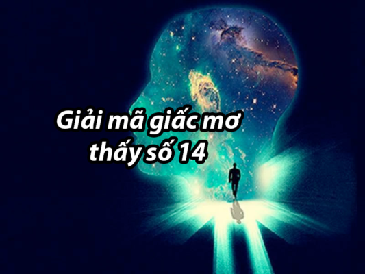 14-la-con-gi