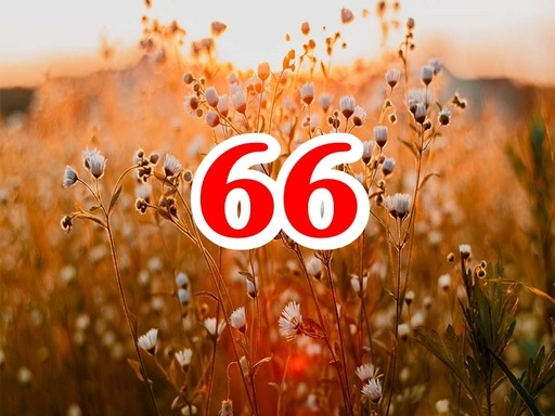 66-la-con-gi