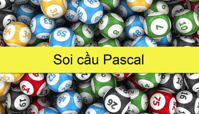 cau-pascal-la-gi